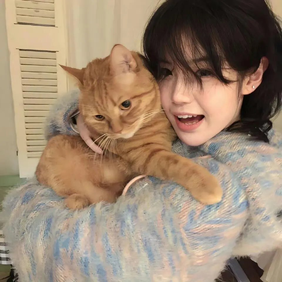 猫和老鼠2014第二季